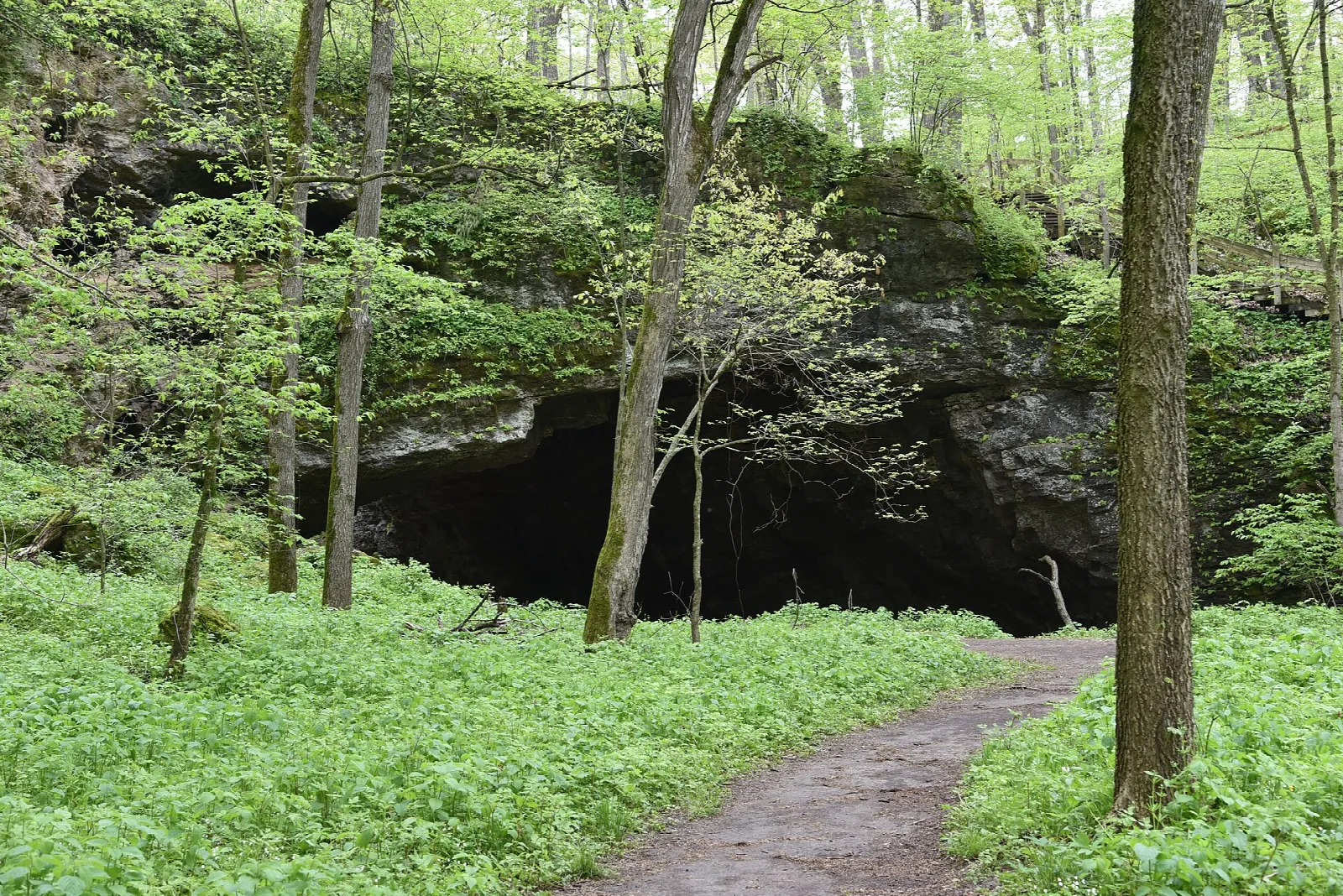 Dirt path through green woods toward a cave opening in a rock face