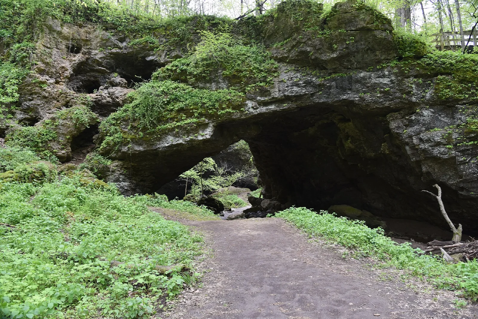 Dirt path leading to a large mossy rock arch and cave opening