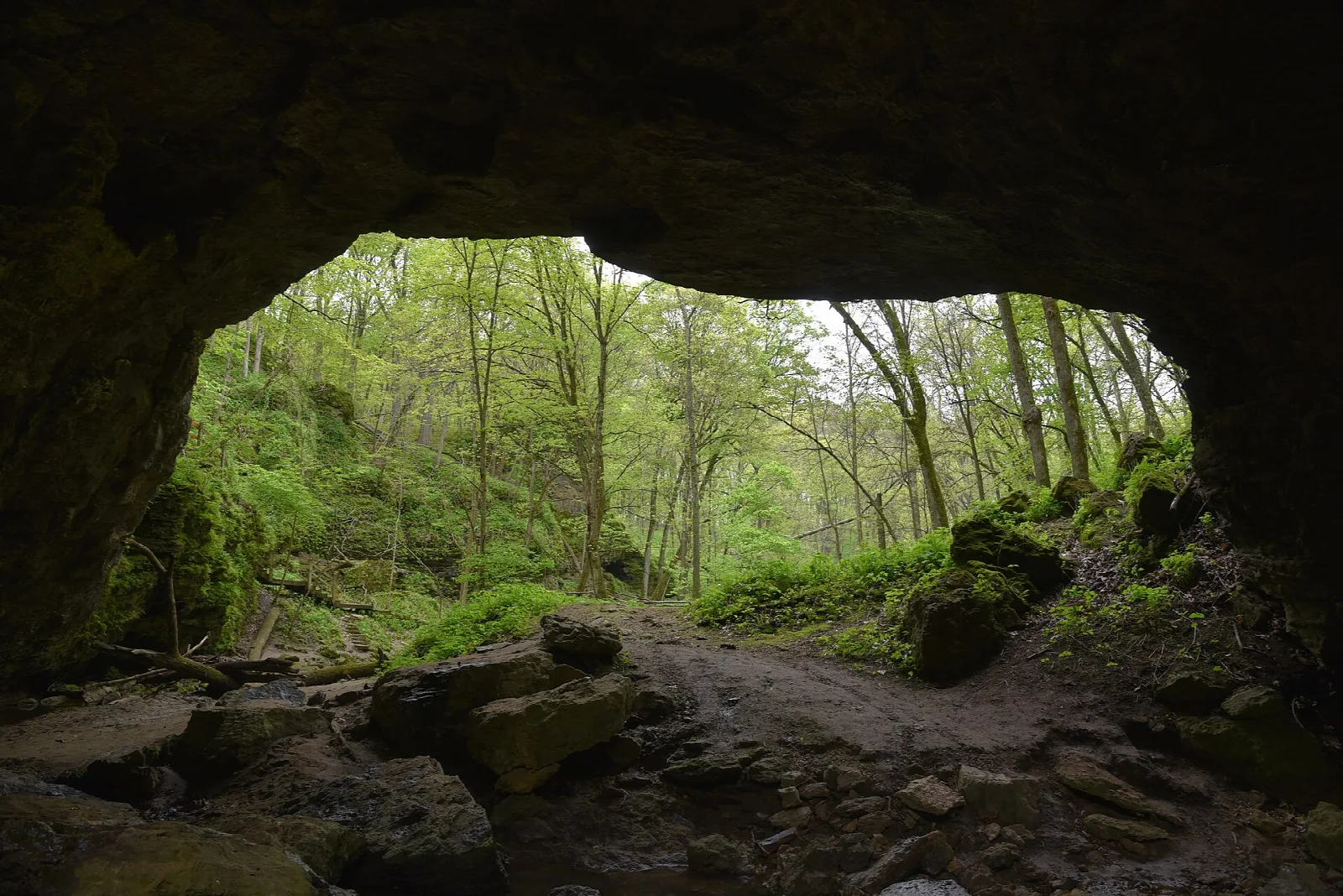 View out of a cave opening toward green woods and rocky ground