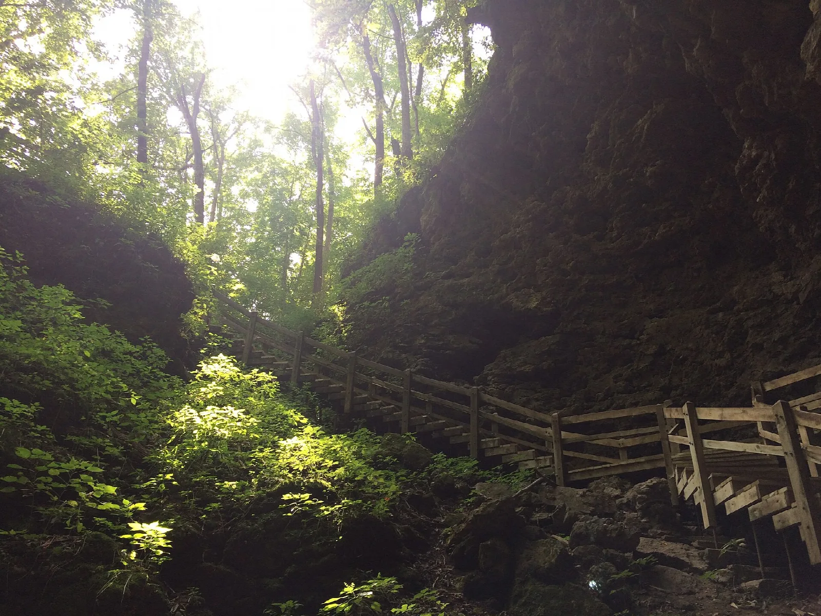Wooden railing and steps descending into a shaded cave entrance with sunlight above