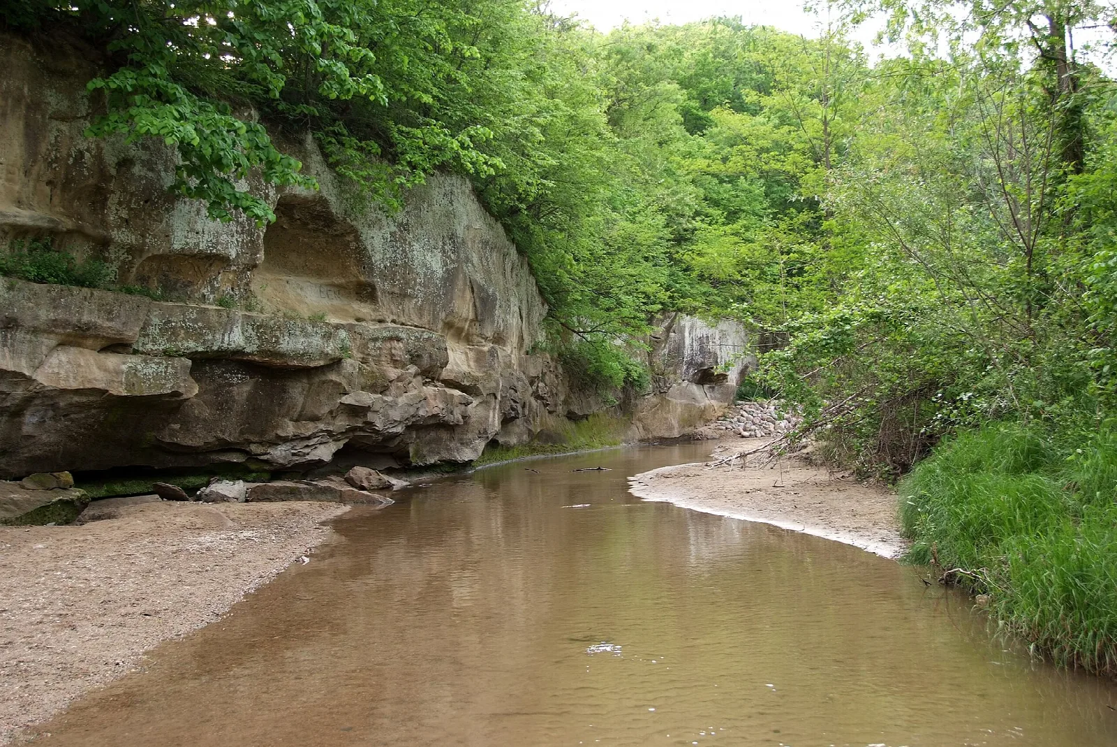 Sandstone cliff beside a shallow brown creek with sandy bank and green trees