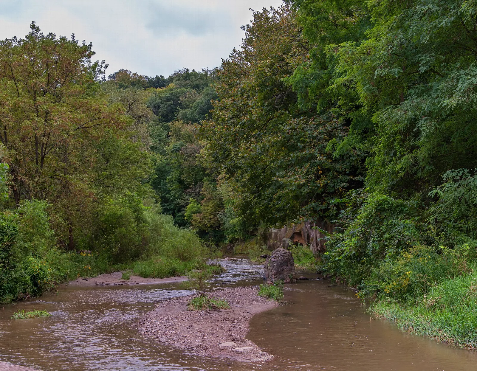 Shallow creek winding through a wooded valley