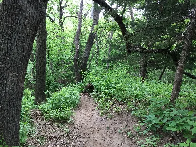 Waubonsie State Park