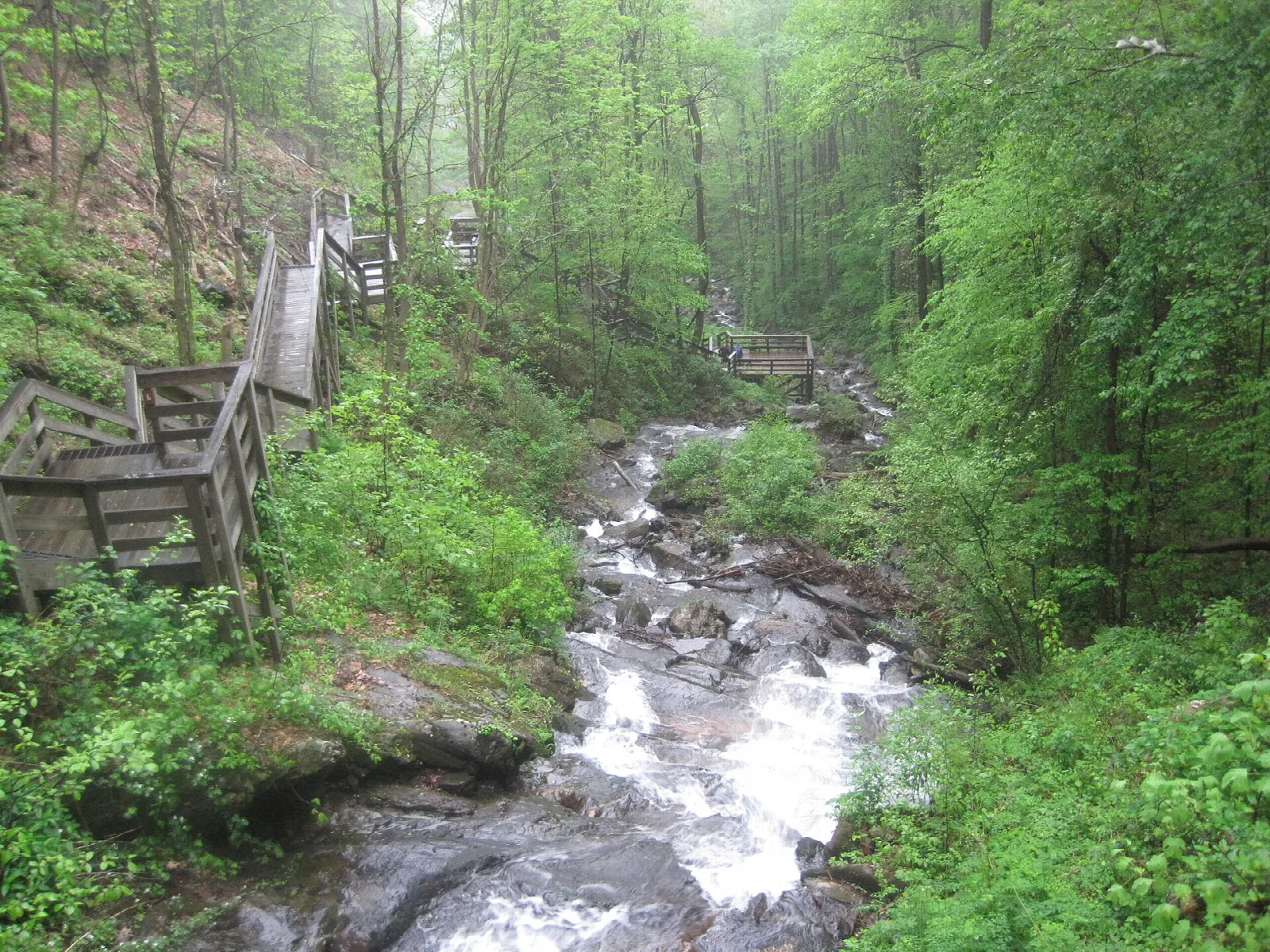 Wooden stairs running alongside a rocky stream in the woods