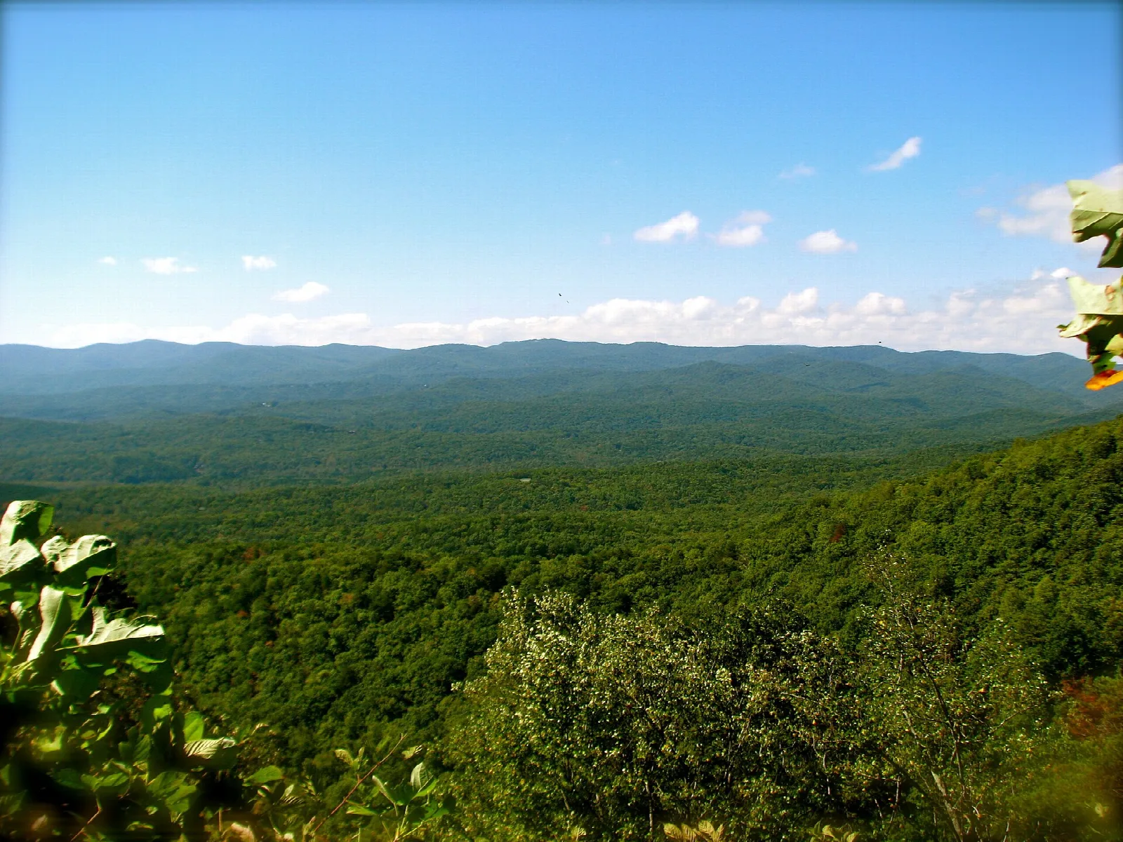 Wide view over forested ridges under a blue sky with clouds