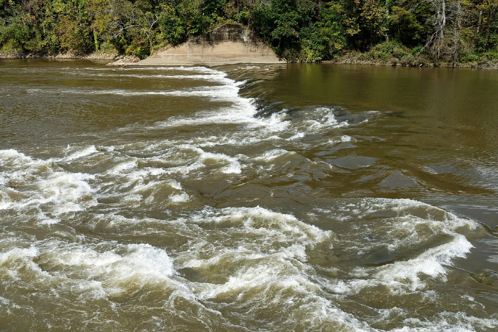 White water rushing over a river shoal