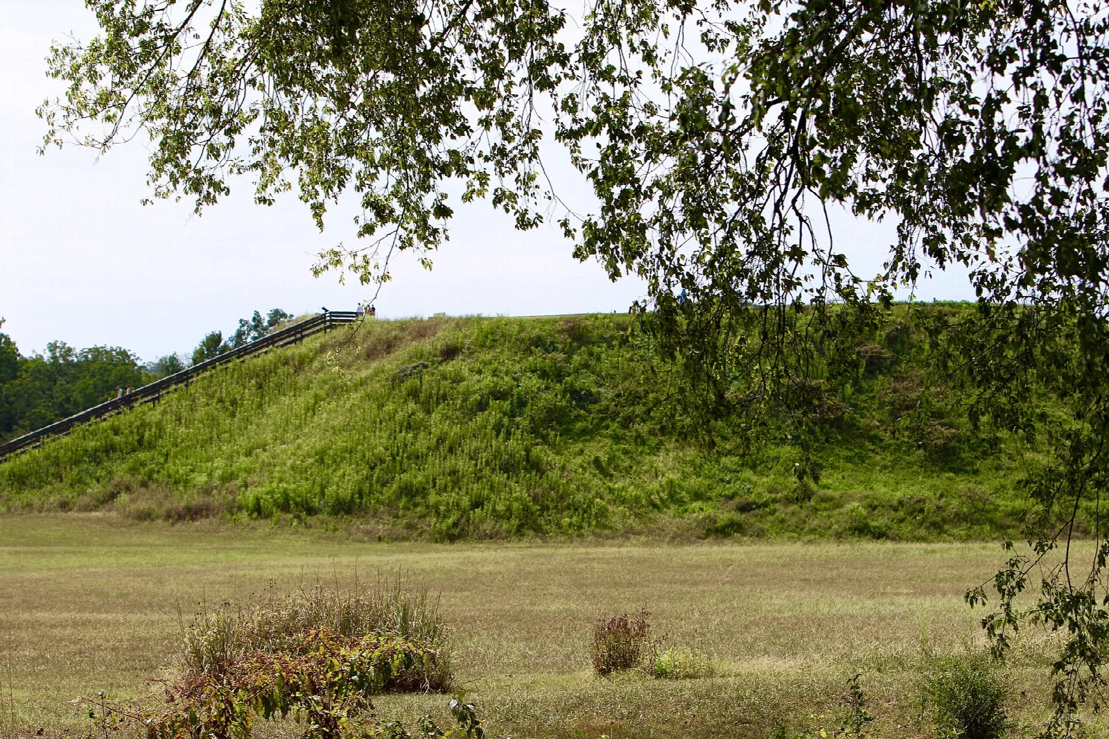 Large grass-covered temple mound with a field in front