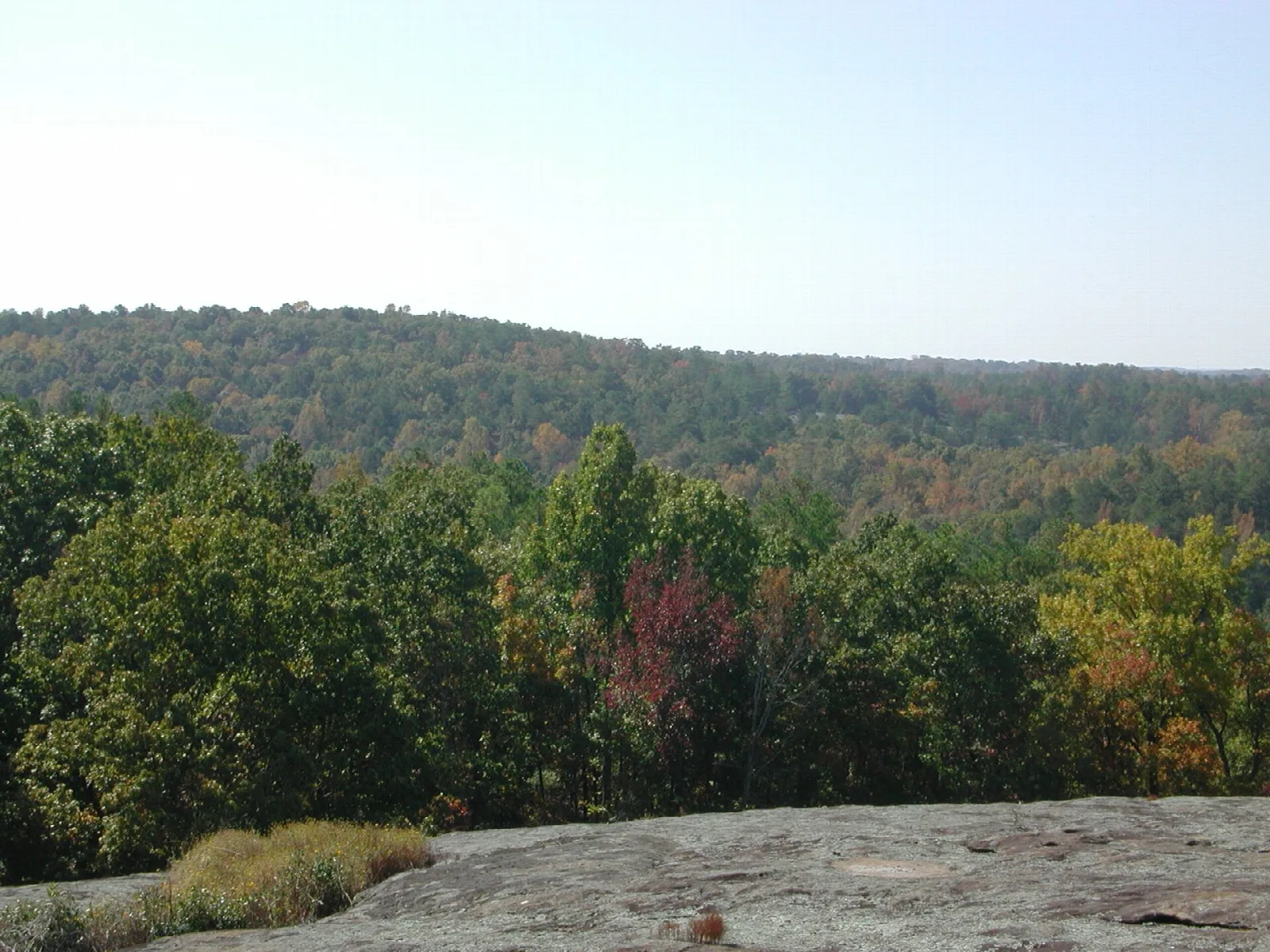 Bare granite outcrop with a forested hillside beyond