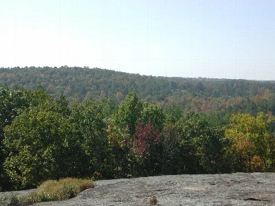 Panola Mountain Conservation Park