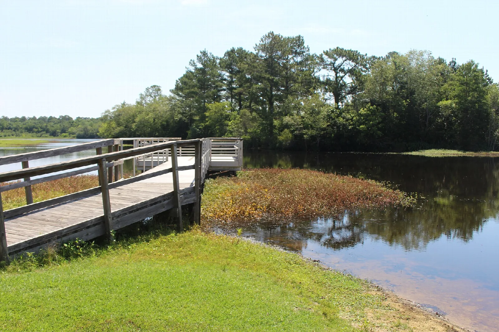 Wooden fishing dock leading to a lake lined with trees
