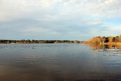 Reed Bingham State Park