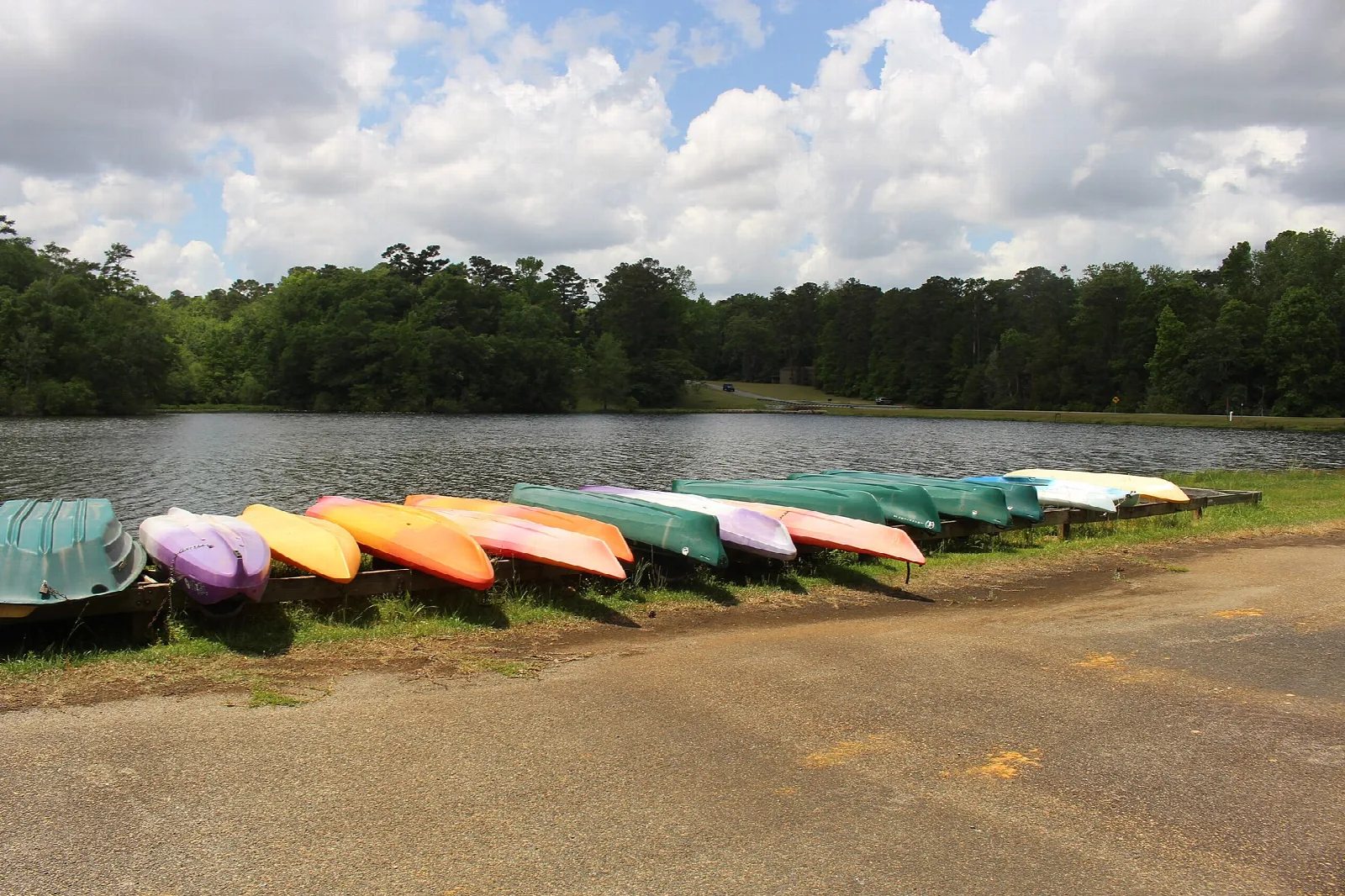 Colorful canoes lined up on the shore of a lake