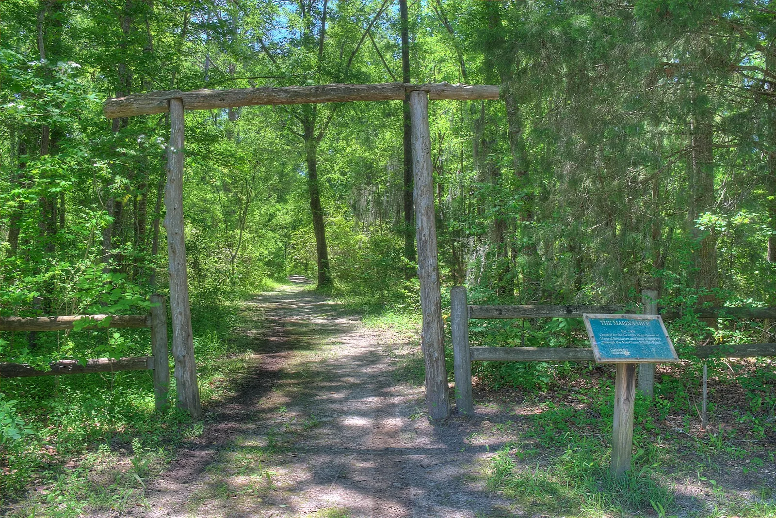 Wooden gateway over a shady forest trail