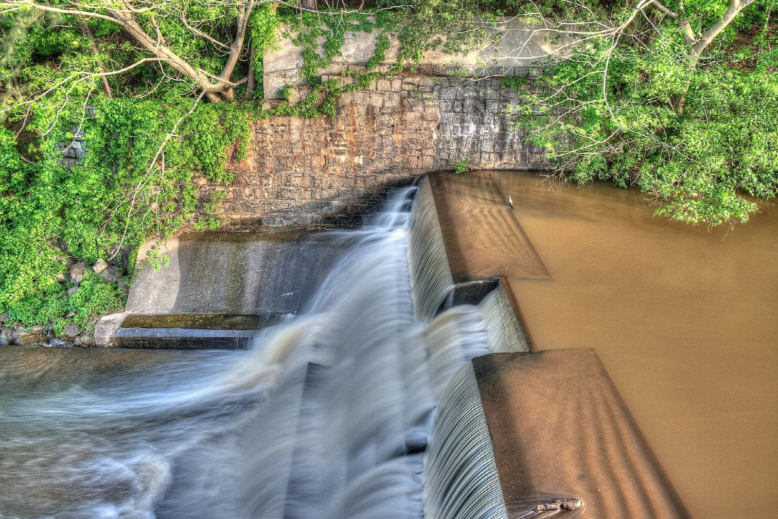 Water spilling over a stone spillway into a brown pool, with green vines above
