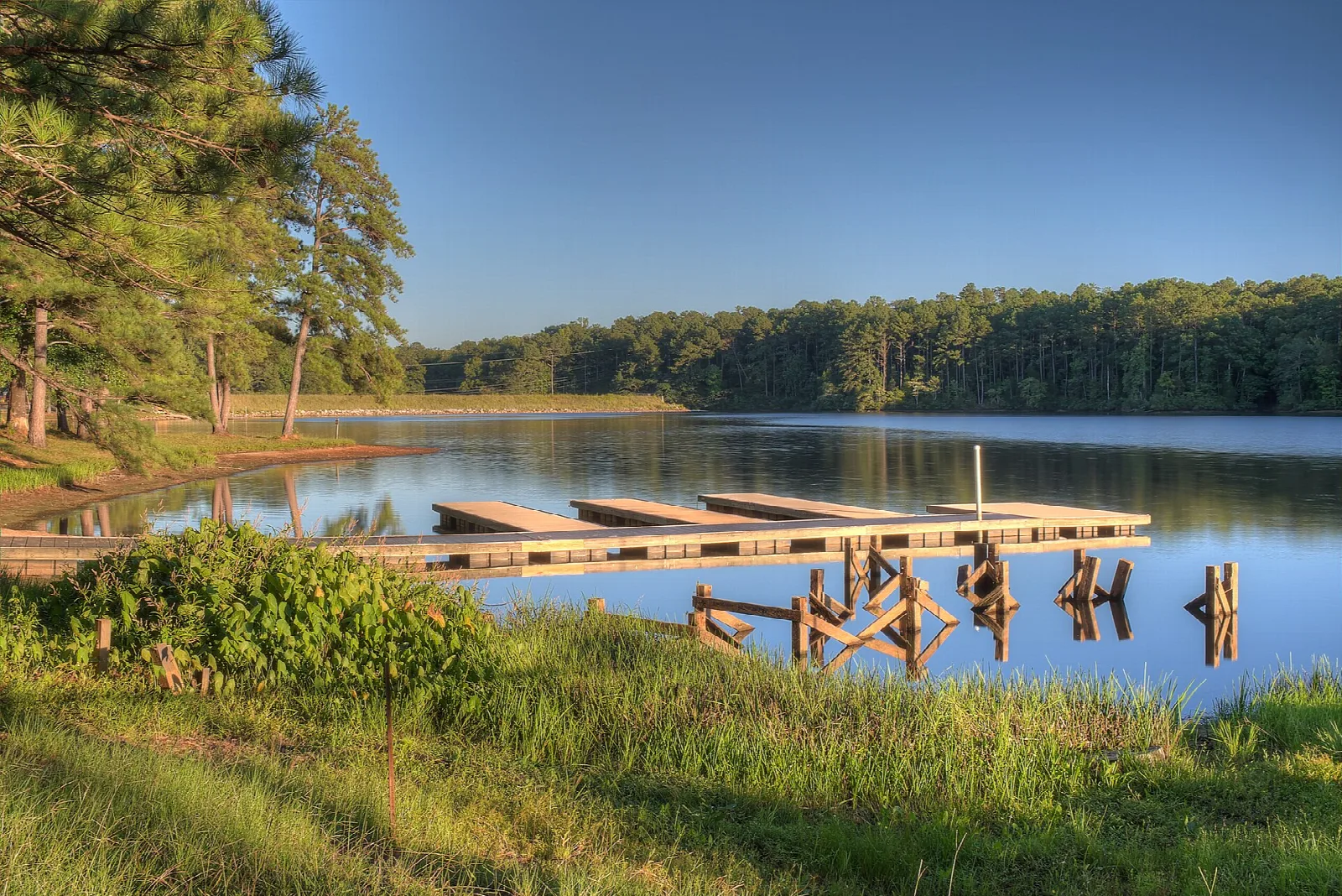 Calm lake with a wooden dock, grass in front and pine woods across the water