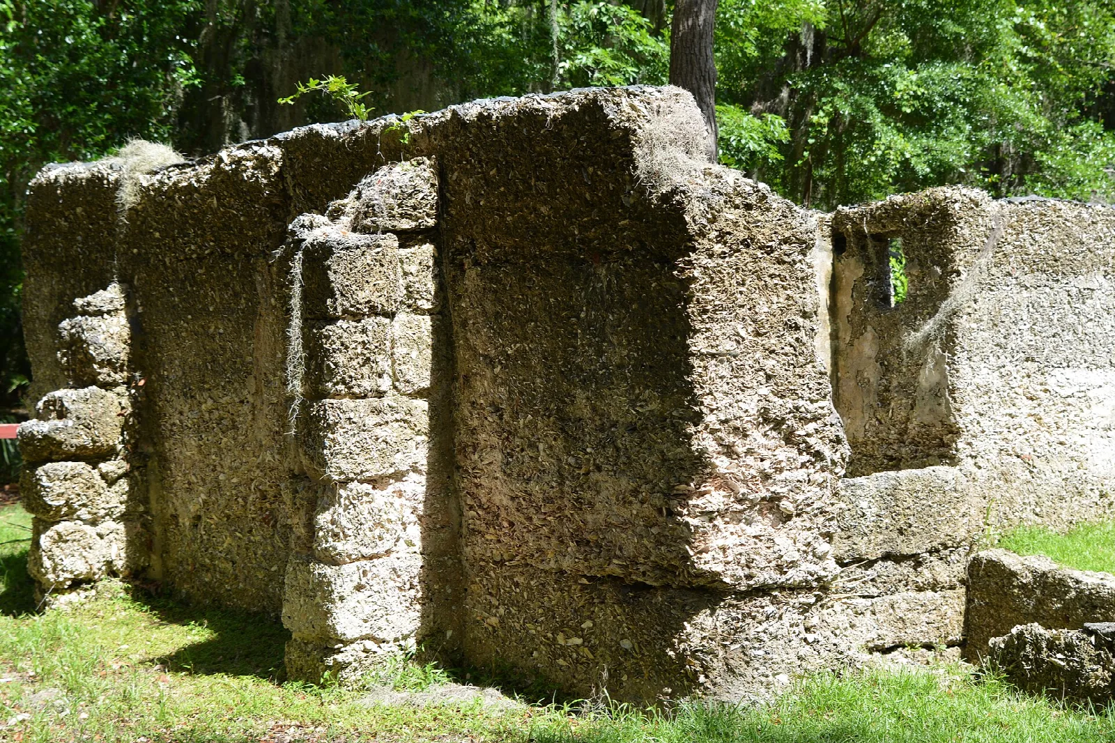 Crumbling tabby stone walls of a ruin in green woods