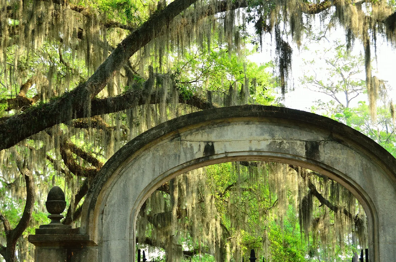 Stone arch framed by oak branches hung with Spanish moss