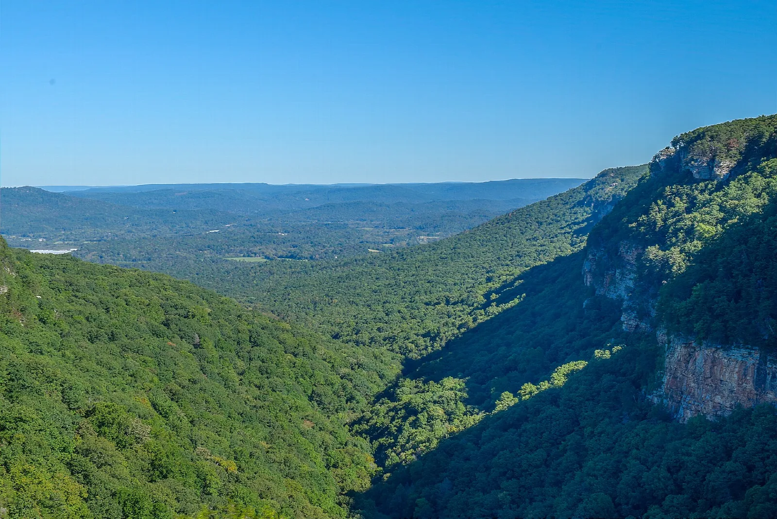 Forested canyon walls with a rock cliff on the right under a clear sky