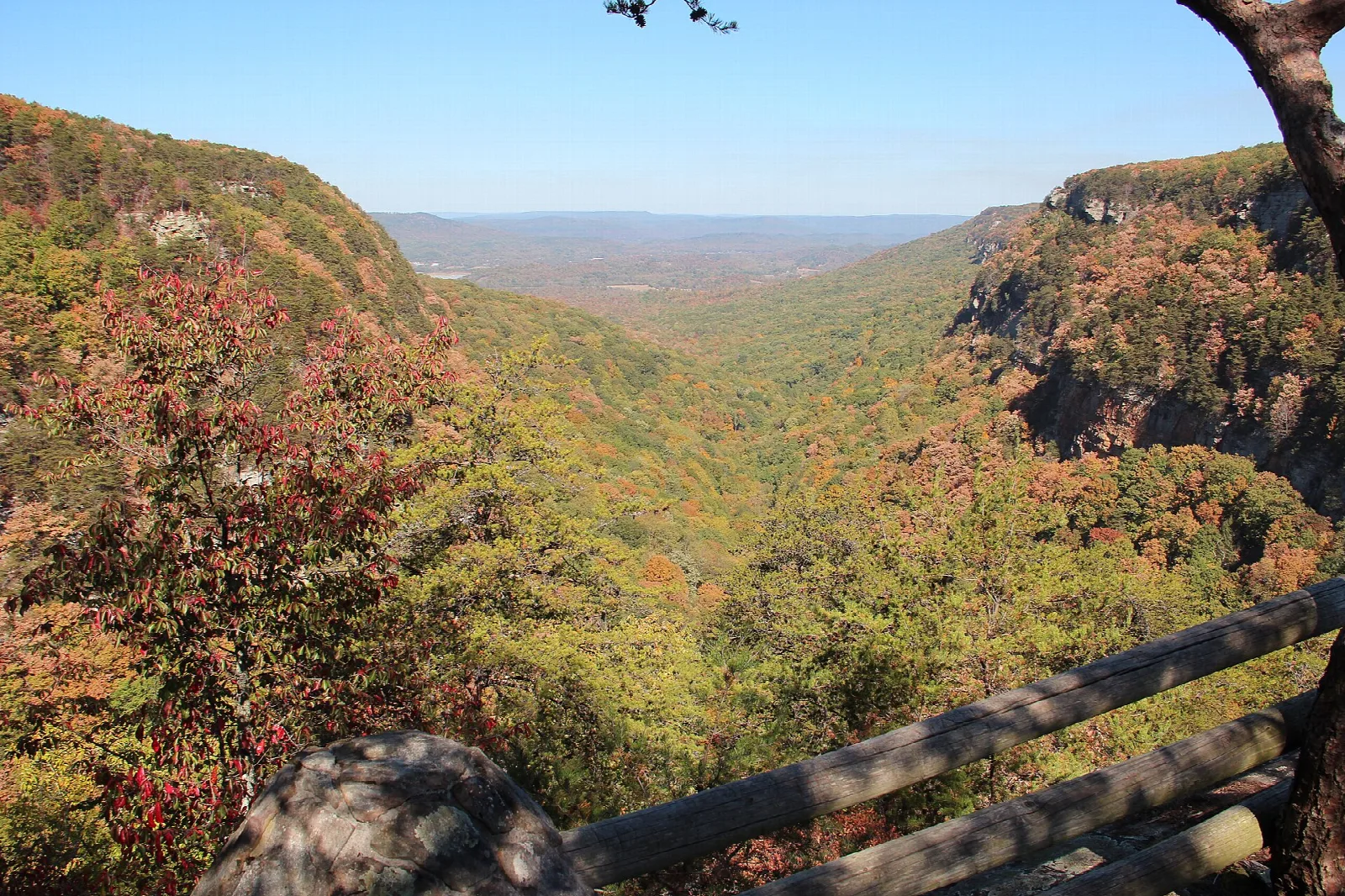 Wide canyon with forested slopes and a wooden railing in the foreground under a blue sky