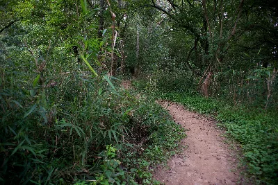 Chattahoochee Bend State Park