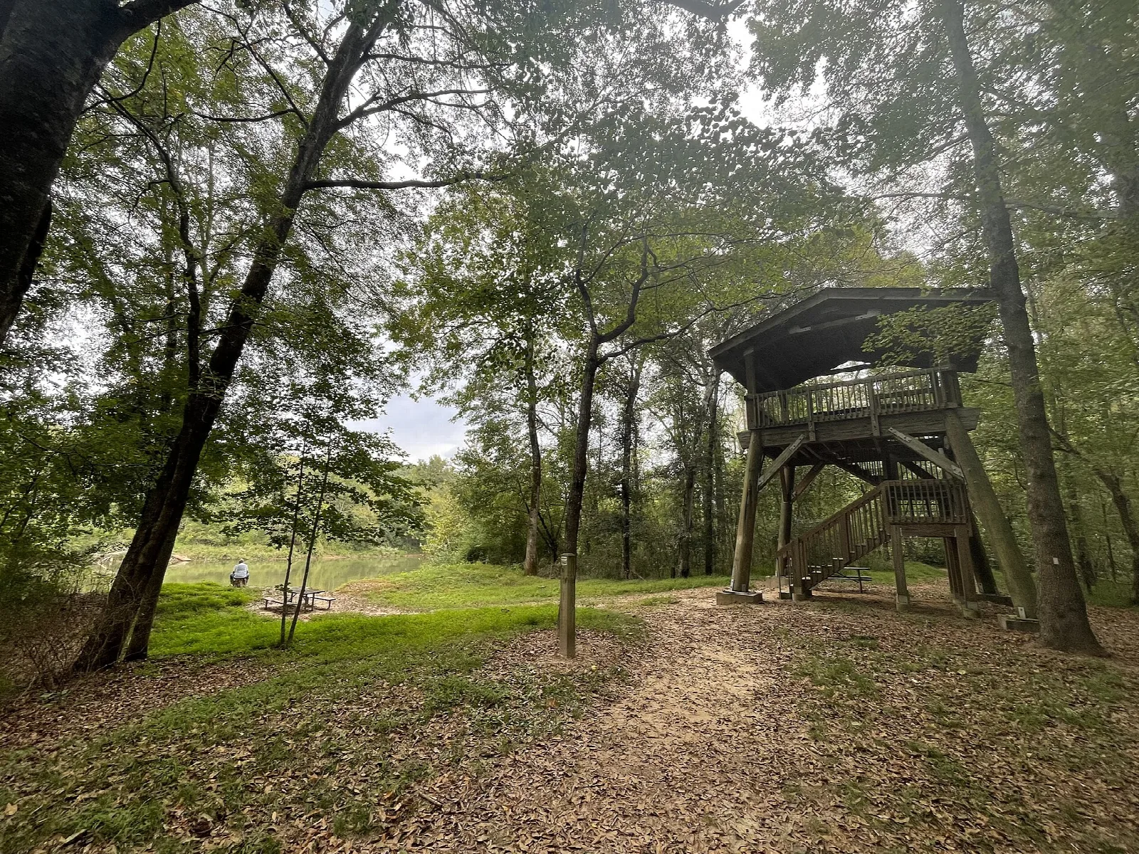 Wooden observation tower beside a dirt path in an open wooded clearing