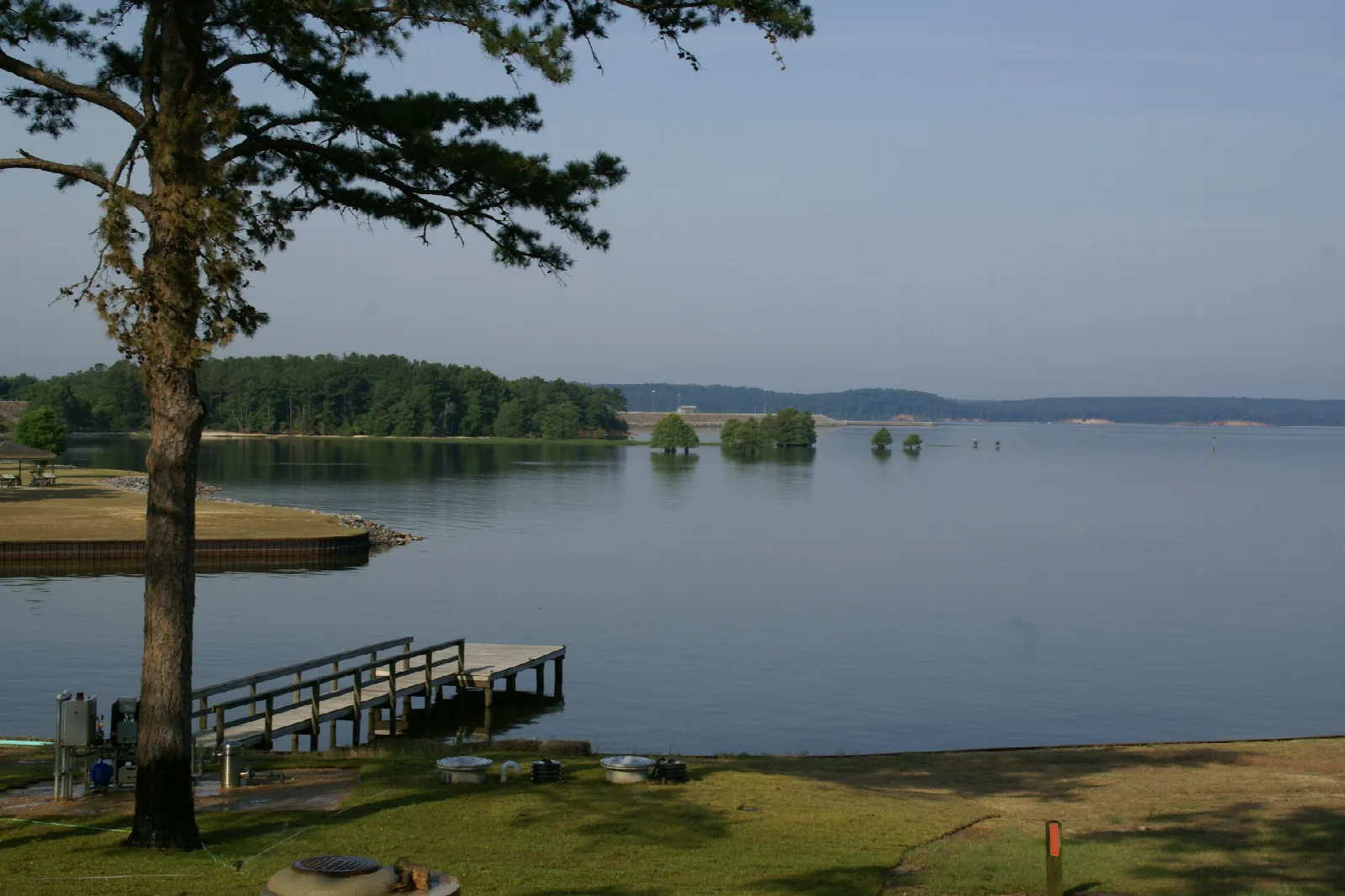 Wide lake with a wooden dock and a lone tree on the grassy shore
