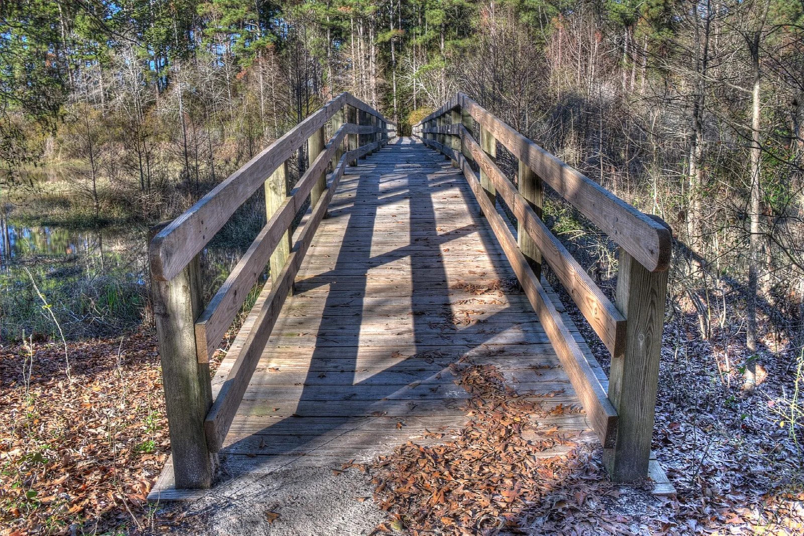 Wooden walking bridge through bare winter woods