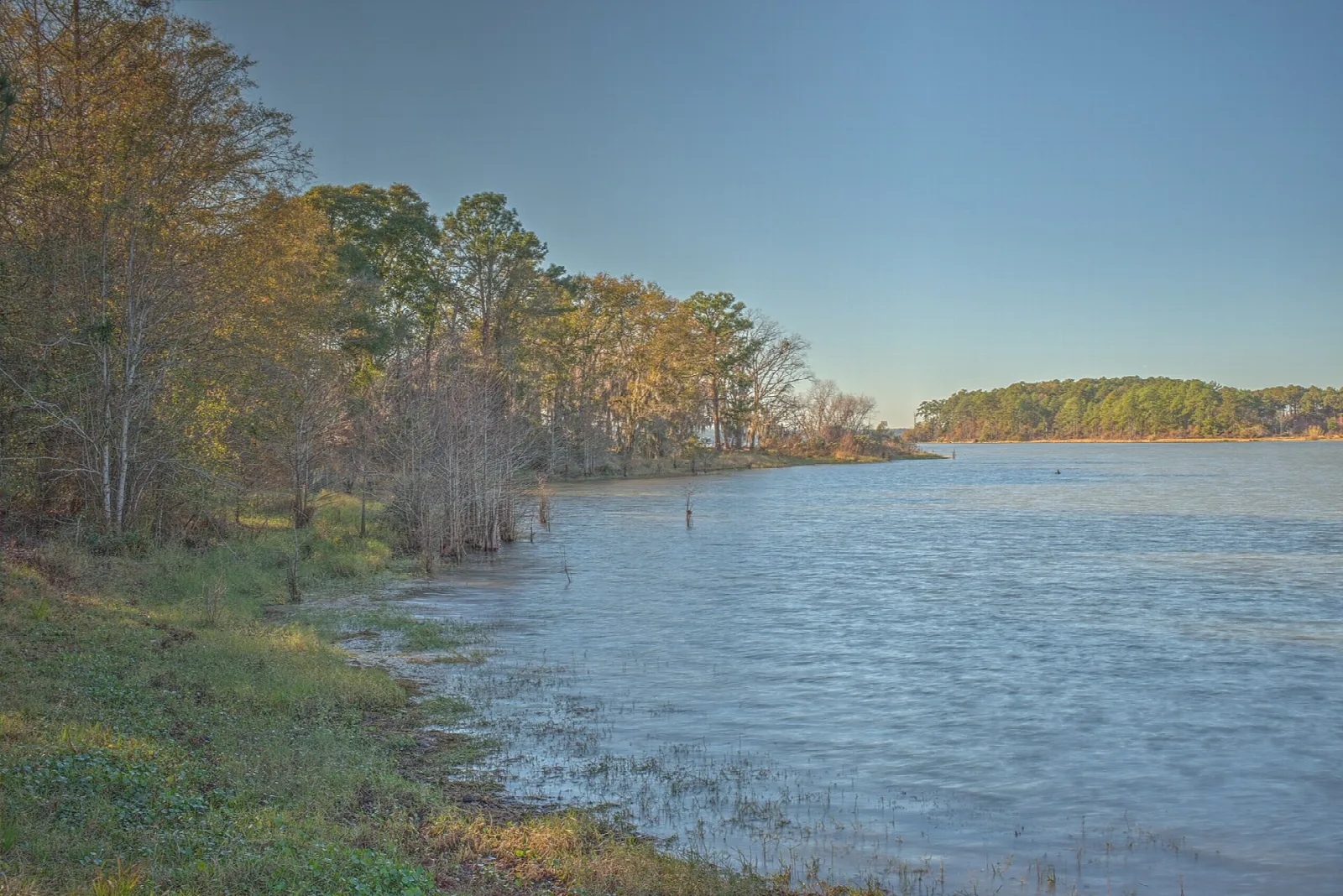 Lake shore with autumn trees and calm blue water