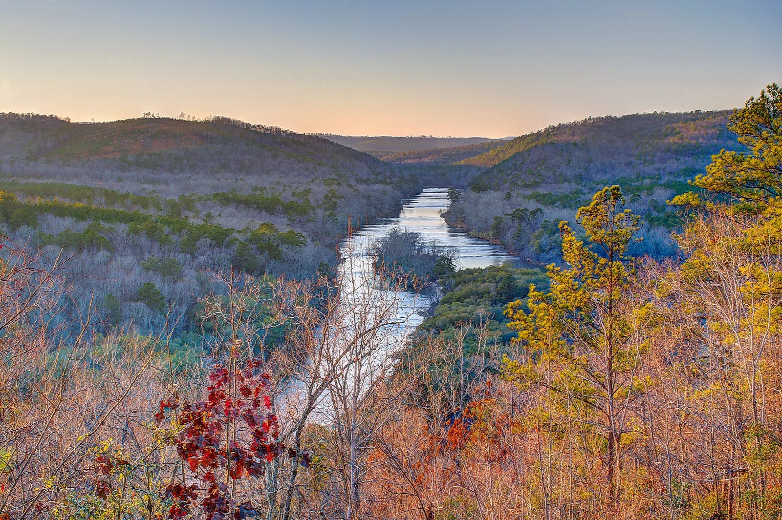 Autumn trees in front of a wide river valley at dusk