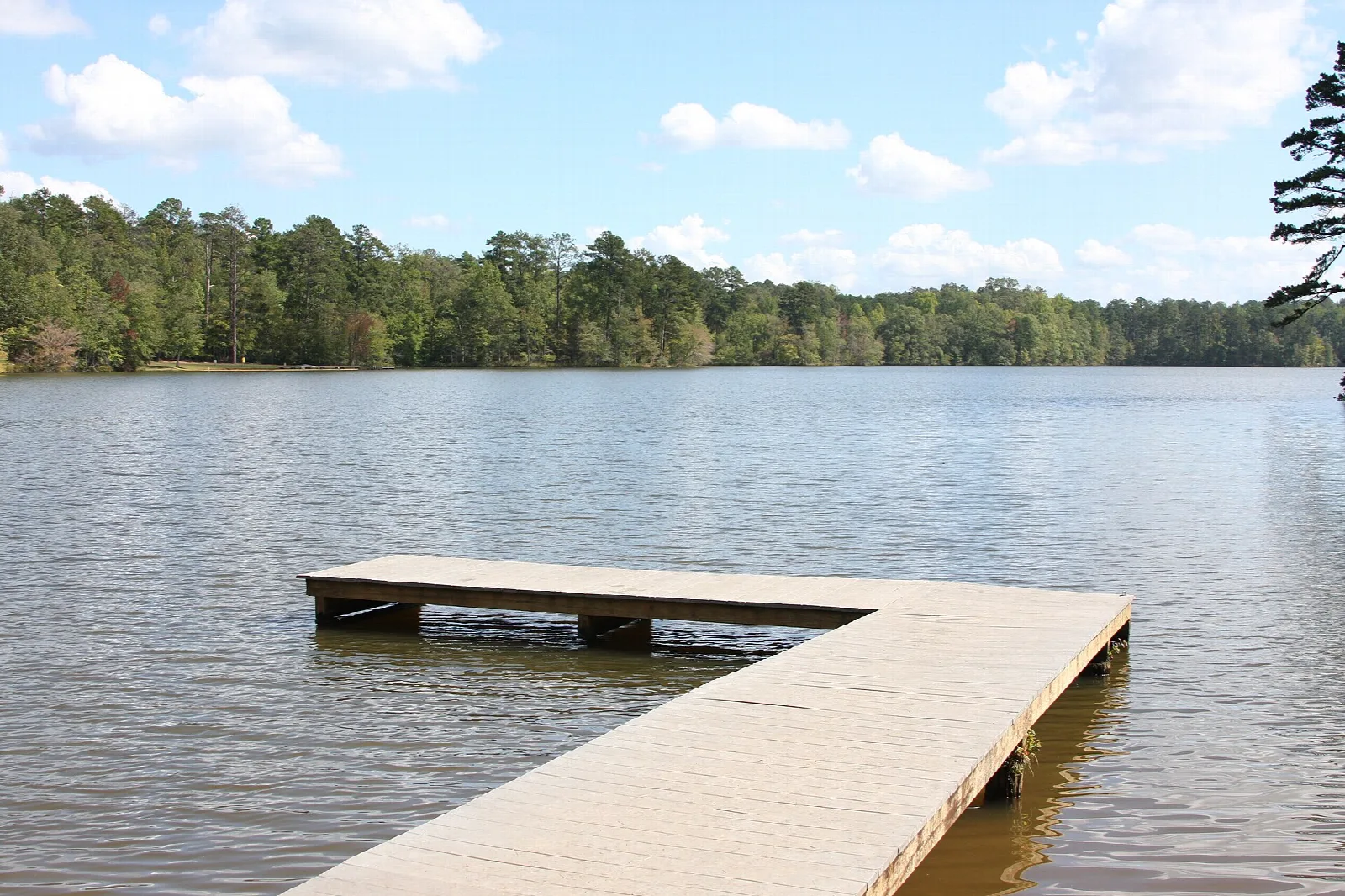 Wooden fishing dock extending into a calm lake with a tree-lined shore