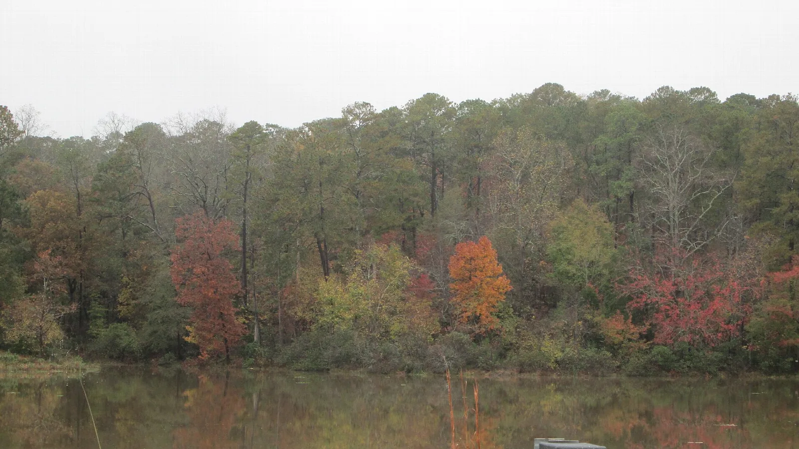 Lake edge with autumn trees in red and orange reflected in the water