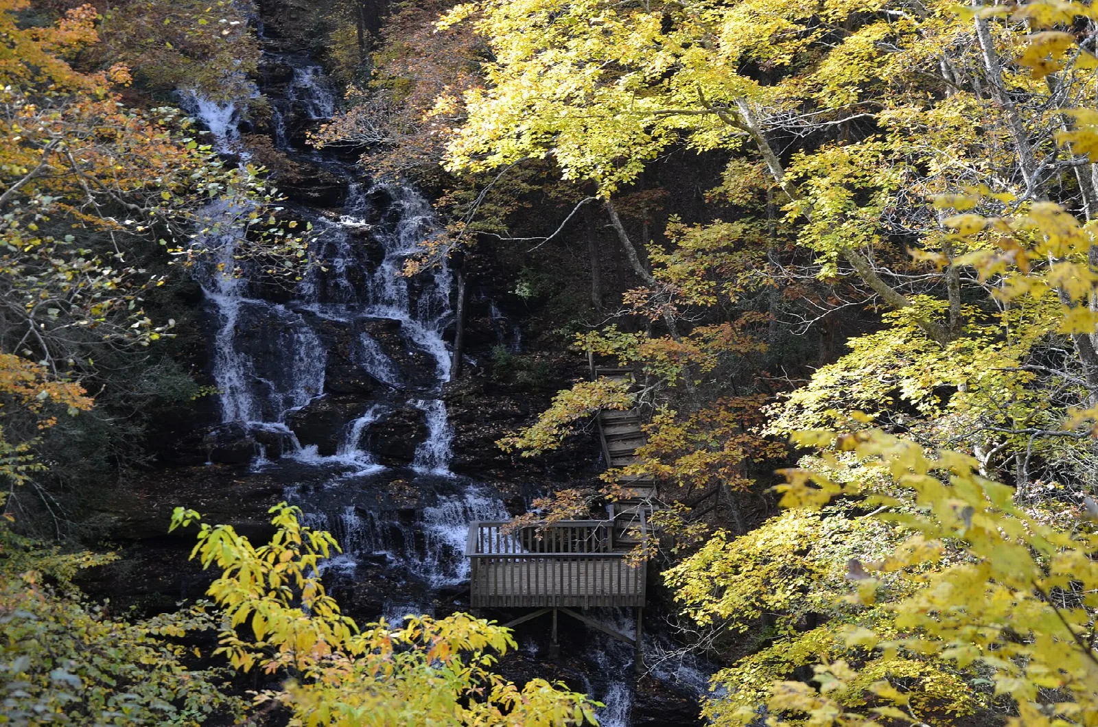 Waterfall dropping through yellow fall trees beside a small viewing deck