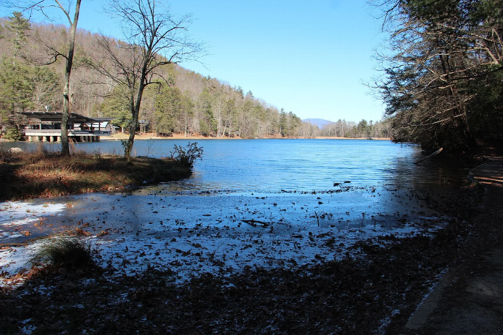 Blue lake with bare trees and a hillside across the water