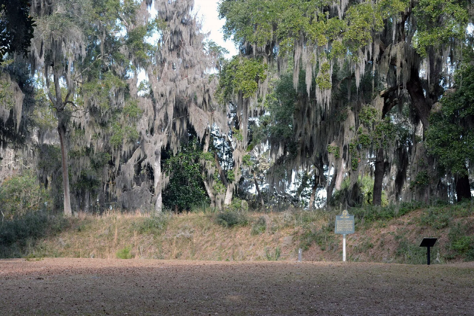 Grassy earthen mounds under live oaks hung with Spanish moss