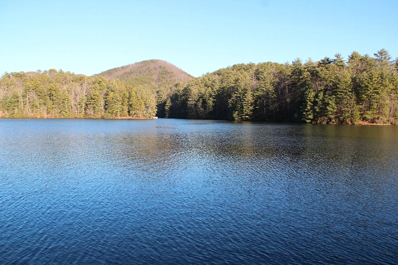 Blue lake with forested hills under a clear sky