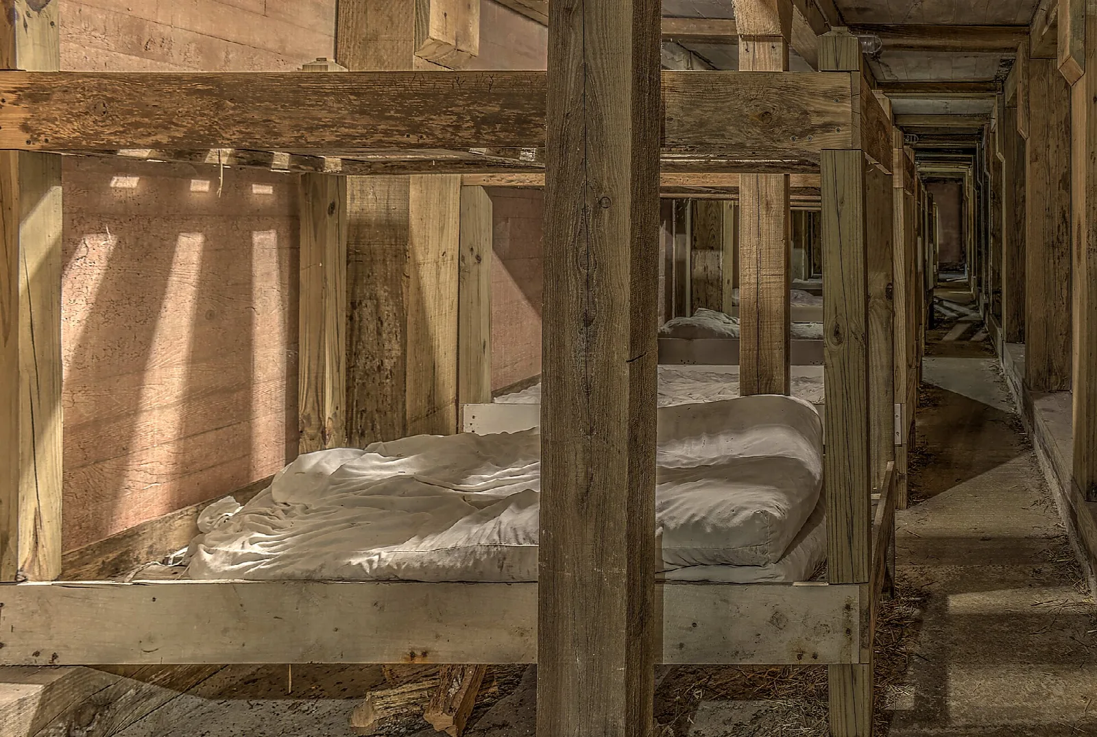 Rows of wooden bunks inside a timber barracks
