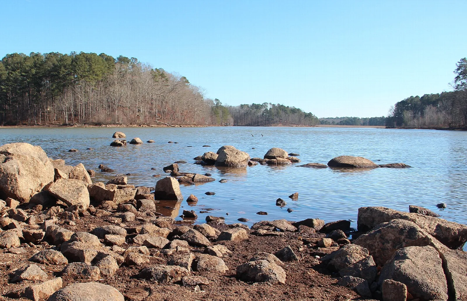 Rocky lake shore with pines and still water