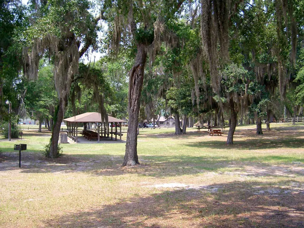 Picnic shelter on a lawn under live oaks hung with Spanish moss