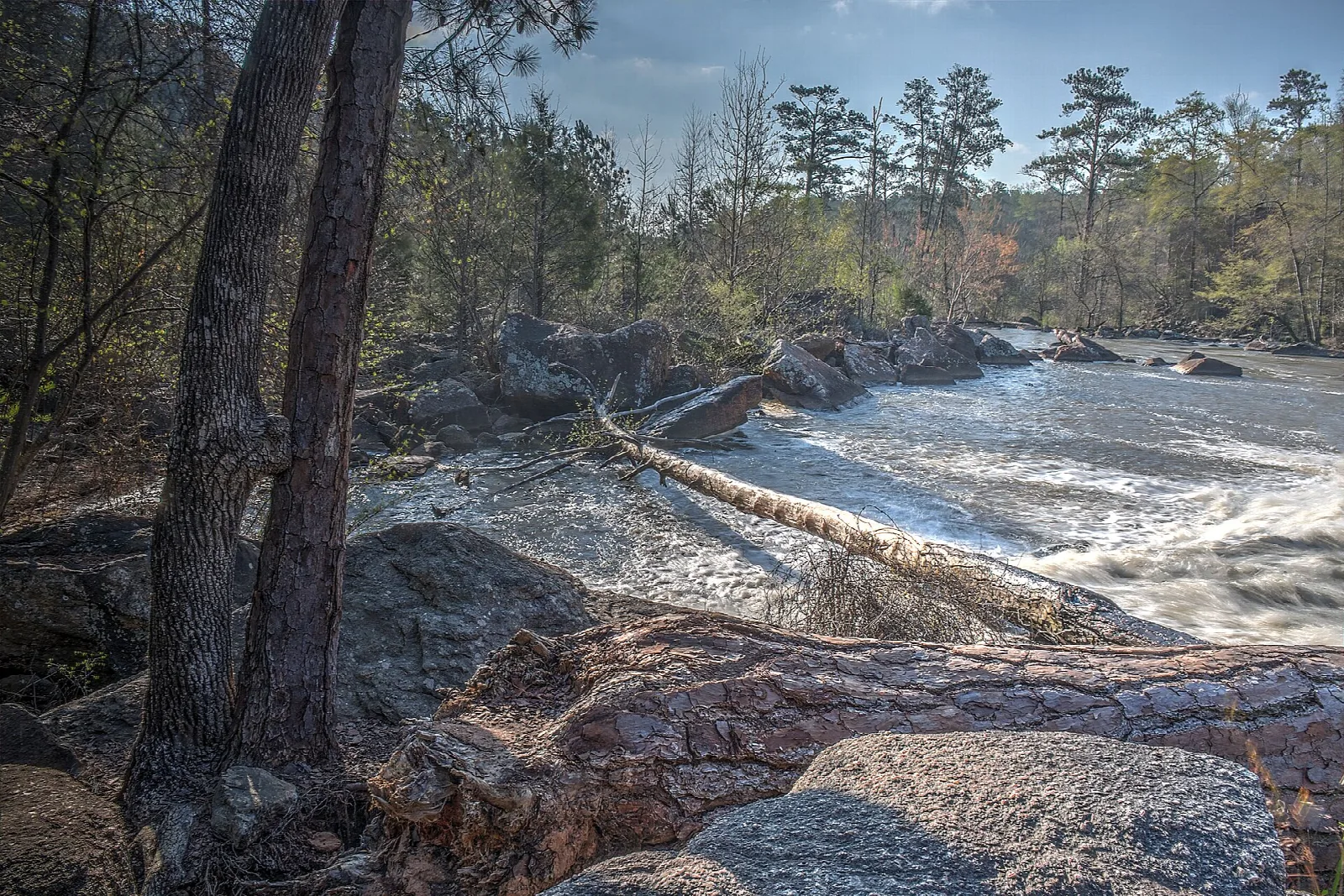 River flowing over rocky ledges between trees