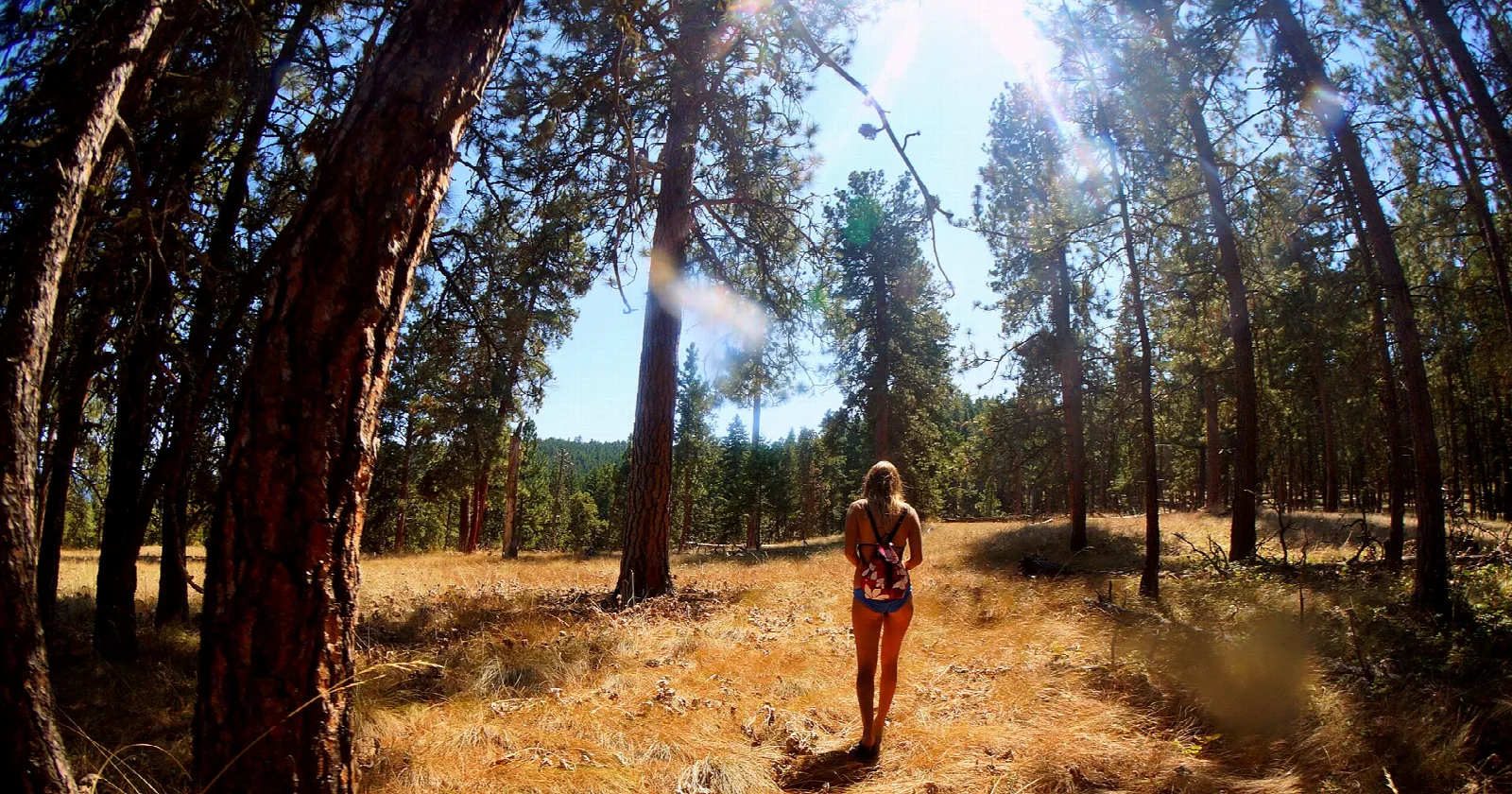 Hiker on a trail through open ponderosa pine forest