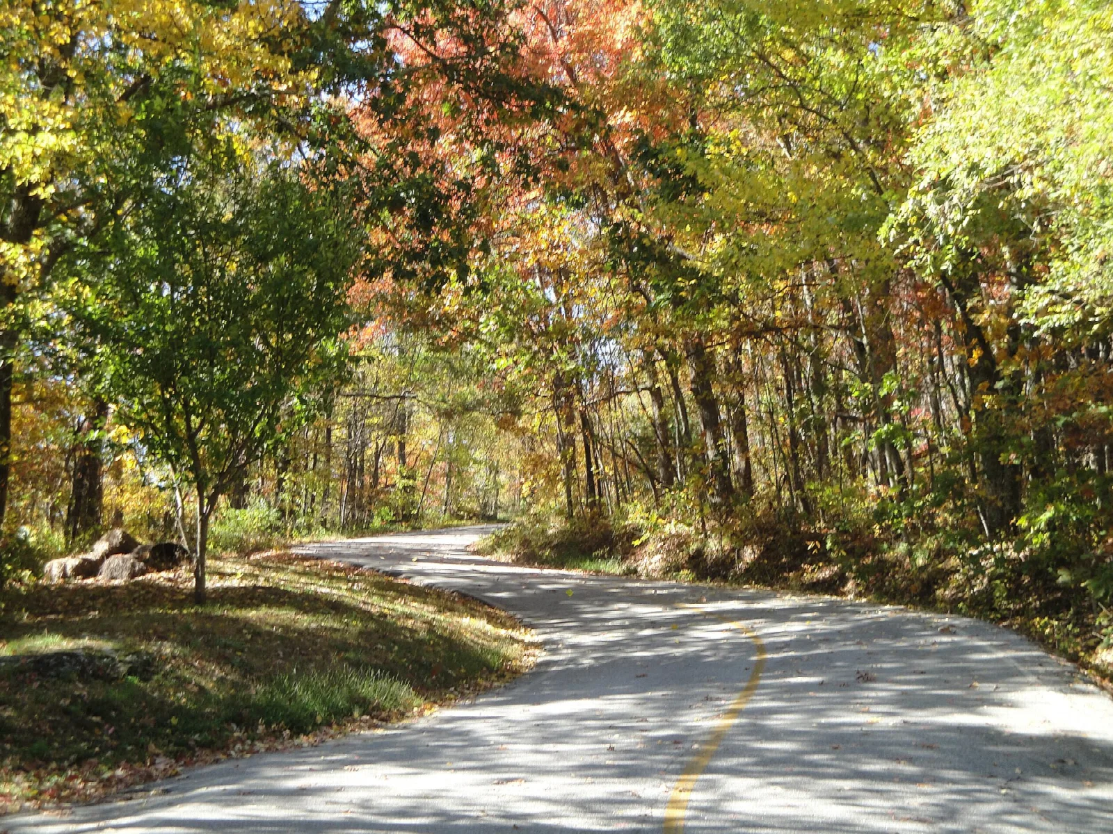 Paved road curving through fall-colored forest