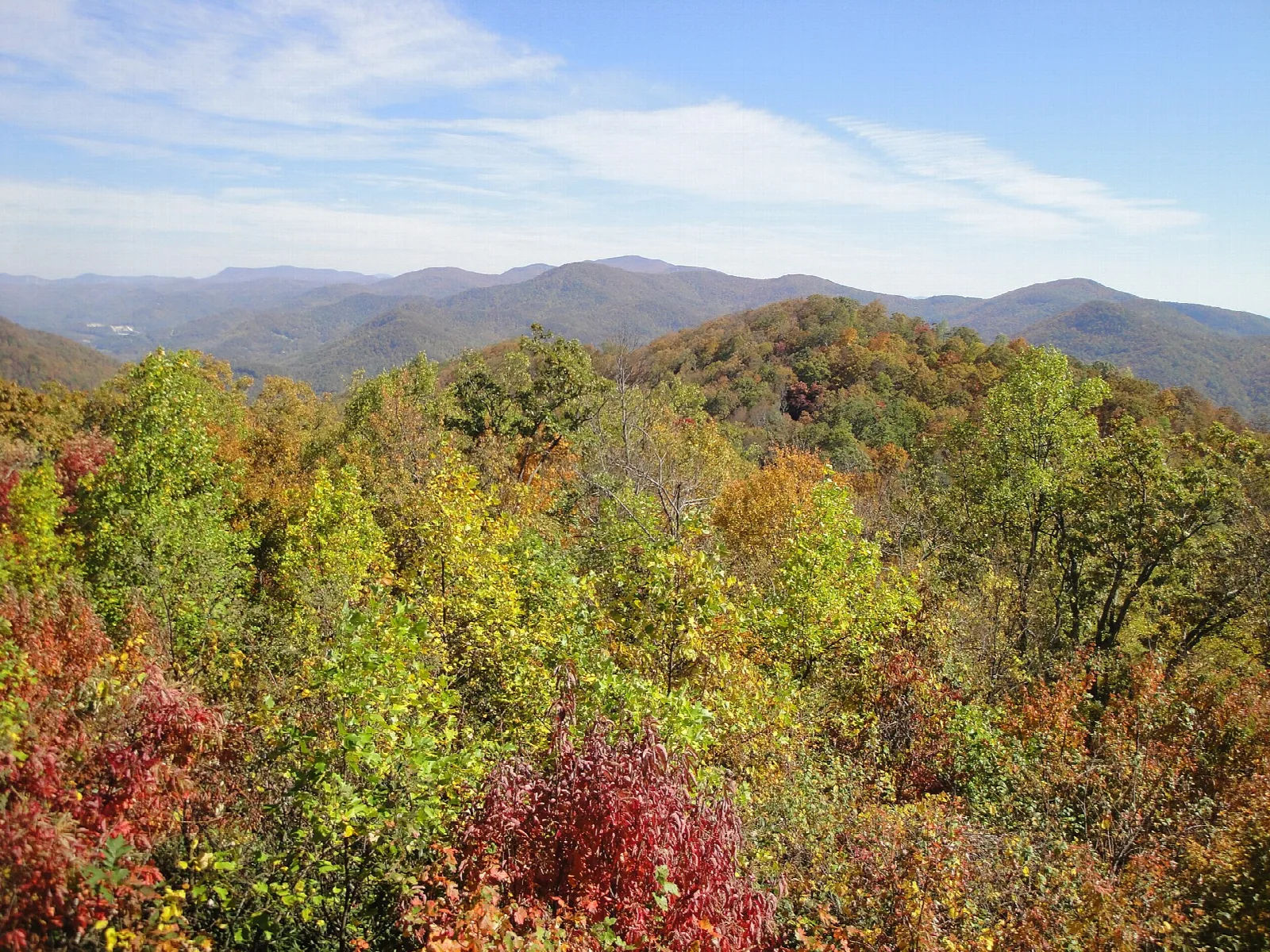Fall-colored hillside with blue ridges behind