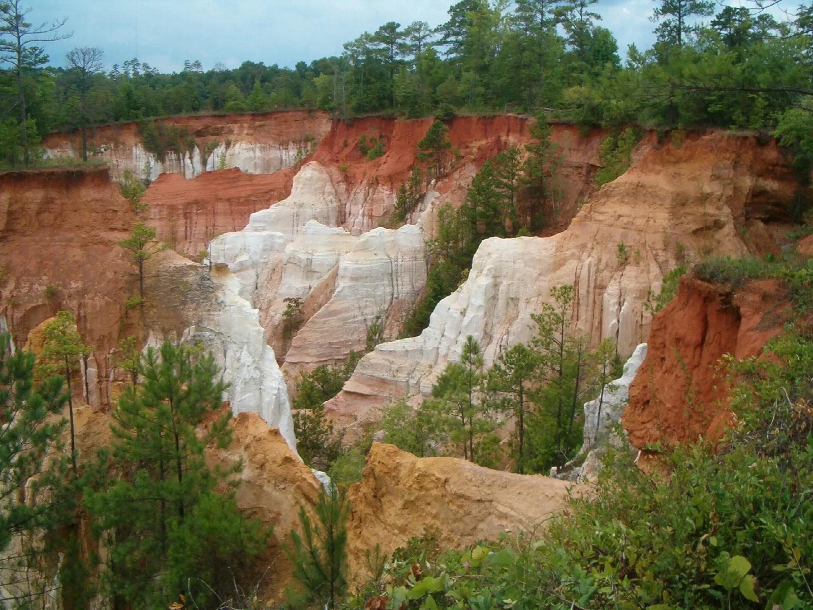 Red, orange and white canyon walls ringed by green pines