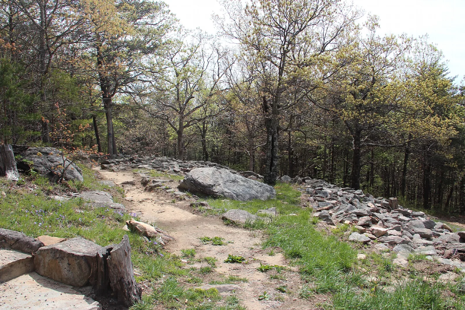 Rocky trail through bare spring woods along the wall ruins