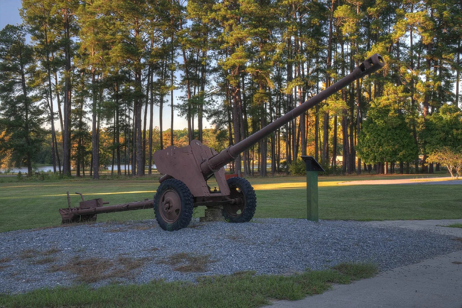 Old field gun on a gravel pad among tall pines in low sun