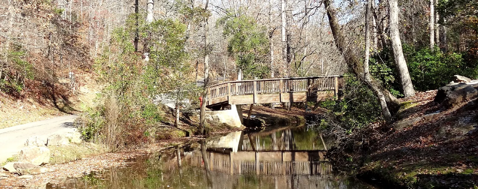 Wooden footbridge over a creek in leafless winter woods
