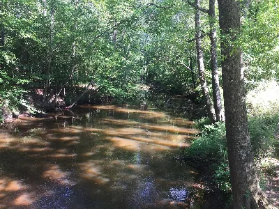 Hamburg State Park