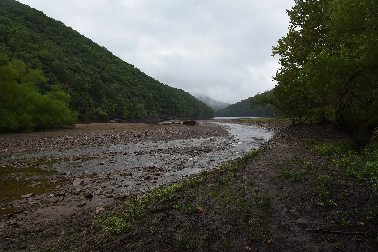 Rocky river channel winding between forested hills under low clouds