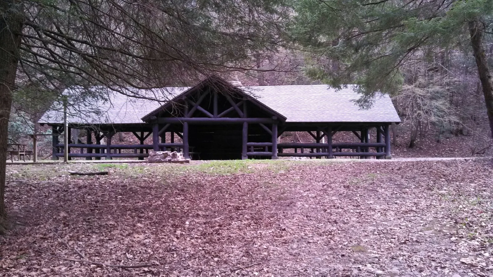 Open wooden pavilion among bare trees and fallen leaves