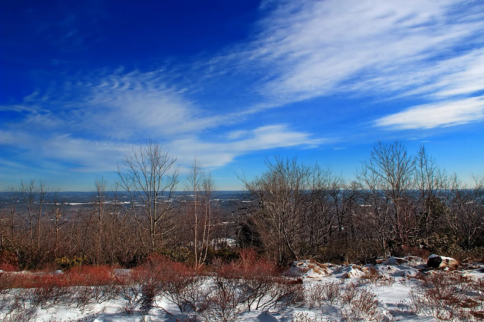 Snow-dusted shrubs on a summit with a hazy view to the horizon